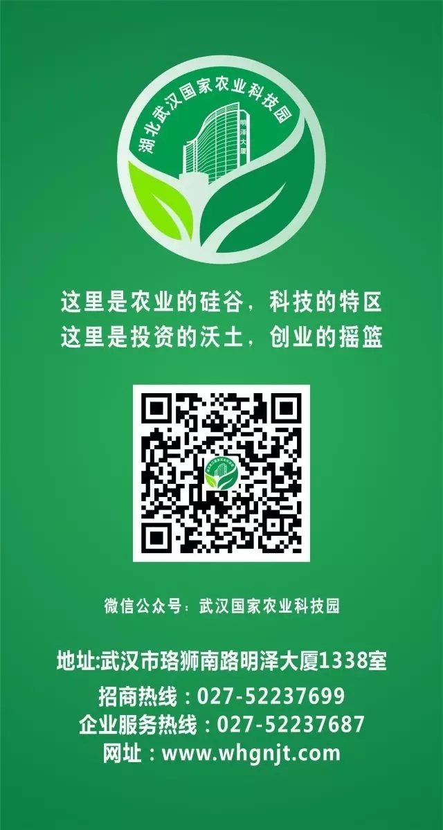威尼斯144777cm(中国)有限公司-BinG百科