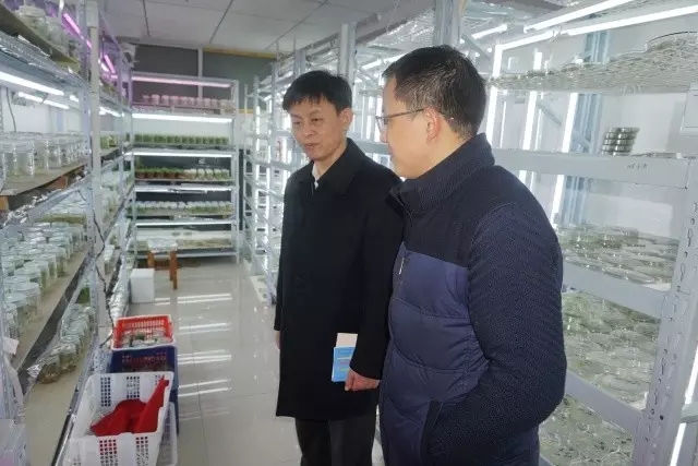 威尼斯144777cm(中国)有限公司-BinG百科