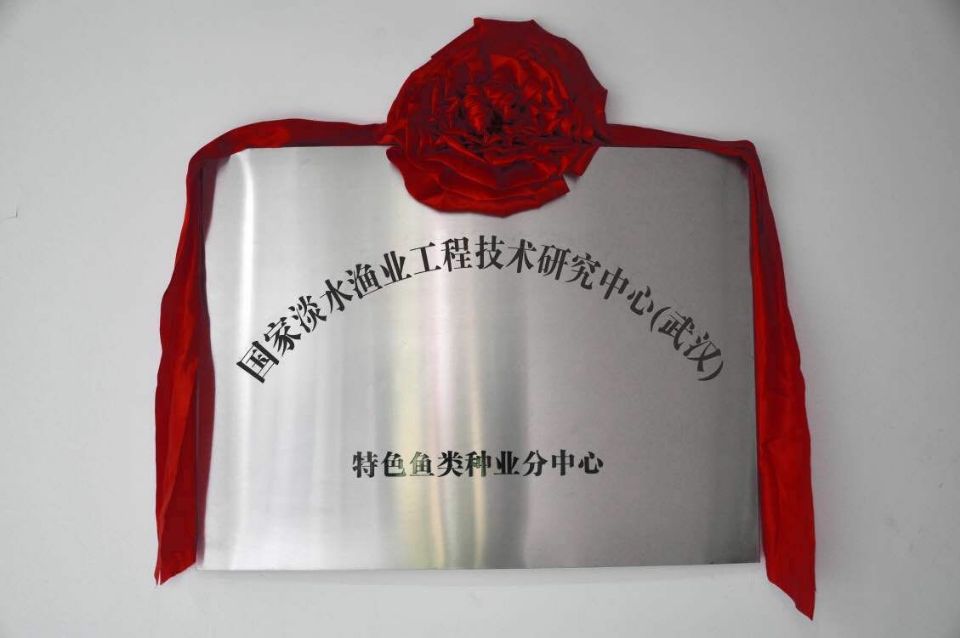 威尼斯144777cm(中国)有限公司-BinG百科