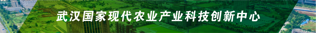 威尼斯144777cm(中国)有限公司-BinG百科